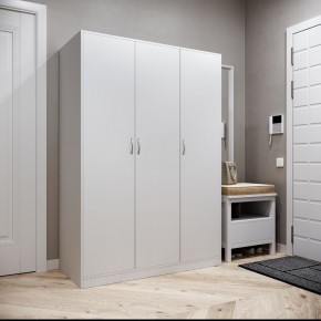 Шкаф ОРИОН трехдверный, цвет белый в Качканаре - kachkanar.ok-mebel.com | фото 2