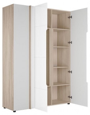 Шкаф платяной Данк в Качканаре - kachkanar.ok-mebel.com | фото 2