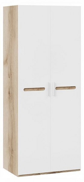 Шкаф платяной Фьюжн ТД-260.07.02 в Качканаре - kachkanar.ok-mebel.com | фото