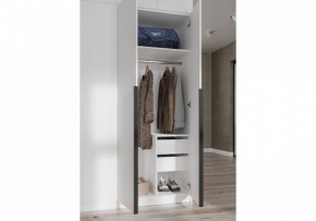 Шкаф платяной Широн в Качканаре - kachkanar.ok-mebel.com | фото 3