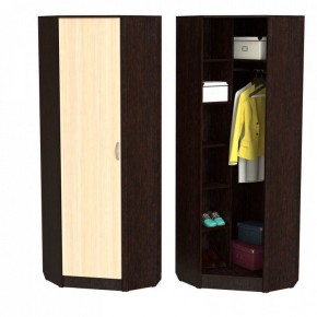Шкаф платяной ШП-10 в Качканаре - kachkanar.ok-mebel.com | фото 2