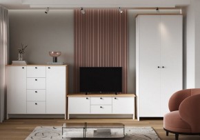 Шкаф платяной Теодора в Качканаре - kachkanar.ok-mebel.com | фото 4