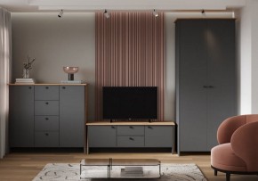 Шкаф платяной Теодора в Качканаре - kachkanar.ok-mebel.com | фото 3