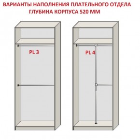 Шкаф распашной серия «ЗЕВС» (PL3/С1/PL2) в Качканаре - kachkanar.ok-mebel.com | фото 10