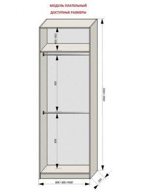 Шкаф распашной серия «ЗЕВС» (PL3/С1/PL2) в Качканаре - kachkanar.ok-mebel.com | фото 12