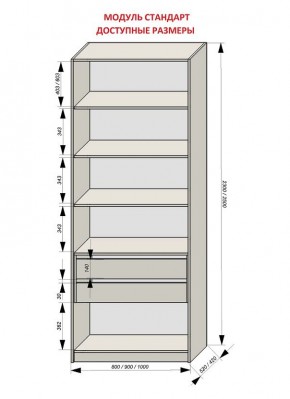 Шкаф распашной серия «ЗЕВС» (PL3/С1/PL2) в Качканаре - kachkanar.ok-mebel.com | фото 13