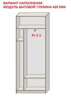 Шкаф распашной серия «ЗЕВС» (PL3/С1/PL2) в Качканаре - kachkanar.ok-mebel.com | фото 4