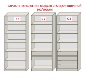 Шкаф распашной серия «ЗЕВС» (PL3/С1/PL2) Серый камень/Небраска натуральный в Качканаре - kachkanar.ok-mebel.com | фото 6