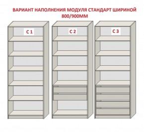 Шкаф распашной серия «ЗЕВС» (PL3/С1/PL2) в Качканаре - kachkanar.ok-mebel.com | фото 6