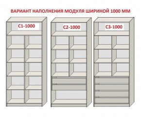 Шкаф распашной серия «ЗЕВС» (PL3/С1/PL2) Серый камень/Небраска натуральный в Качканаре - kachkanar.ok-mebel.com | фото 7