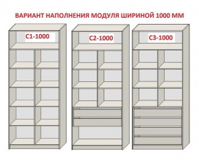 Шкаф распашной серия «ЗЕВС» (PL3/С1/PL2) в Качканаре - kachkanar.ok-mebel.com | фото 7