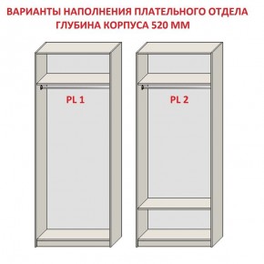 Шкаф распашной серия «ЗЕВС» (PL3/С1/PL2) в Качканаре - kachkanar.ok-mebel.com | фото 9
