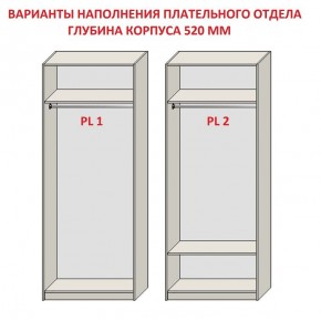 Шкаф распашной серия «ЗЕВС» (PL3/С1/PL2) Серый камень/Небраска натуральный в Качканаре - kachkanar.ok-mebel.com | фото 9