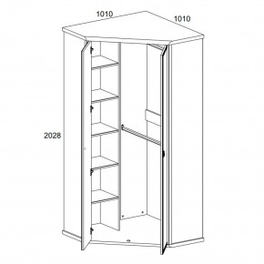 Шкаф угловой 2D, MAGELLAN, цвет Сосна винтаж в Качканаре - kachkanar.ok-mebel.com | фото 2