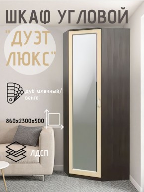 Шкаф угловой Дуэт Люкс с зеркалом в Качканаре - kachkanar.ok-mebel.com | фото 5