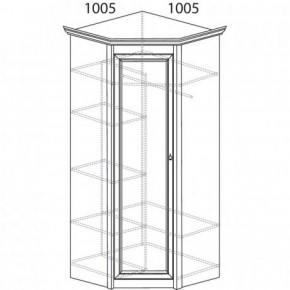 Шкаф угловой №662 "Флоренция" Фасад глухой (угол 1005*1005) Дуб оксфорд в Качканаре - kachkanar.ok-mebel.com | фото 3