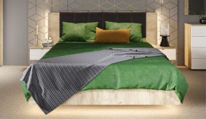 Спальня Джулия Кровать 160 МИ с подъемным механизмом Дуб крафт серый в Качканаре - kachkanar.ok-mebel.com | фото 4