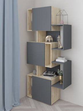 Стеллаж Дублин в Качканаре - kachkanar.ok-mebel.com | фото 2