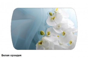 Стол Бостон 900*600 (опоры Брифинг) Стекло/фотопечать Белая Орхидея в Качканаре - kachkanar.ok-mebel.com | фото