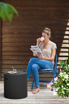 Столик-холодильник Кул-Стул (Cool stool) графит в Качканаре - kachkanar.ok-mebel.com | фото