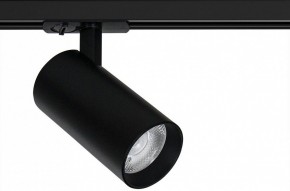 Светильник на штанге Arte Lamp Bene A1947PL-1BK в Качканаре - kachkanar.ok-mebel.com | фото