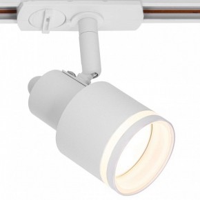 Светильник на штанге Citilux Bruno CL565T10 в Качканаре - kachkanar.ok-mebel.com | фото 2
