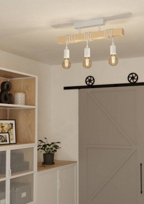 Светильник на штанге Eglo TOWNSHEND 44082 в Качканаре - kachkanar.ok-mebel.com | фото 2