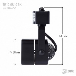 Светильник на штанге Эра  TR10-GU10 BK в Качканаре - kachkanar.ok-mebel.com | фото 8