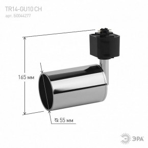 Светильник на штанге Эра  TR14-GU10 CH в Качканаре - kachkanar.ok-mebel.com | фото 4
