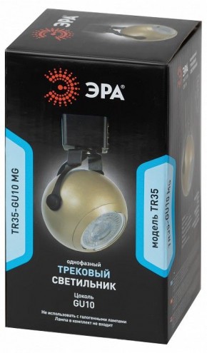 Светильник на штанге Эра  TR35-GU10 MG в Качканаре - kachkanar.ok-mebel.com | фото 4