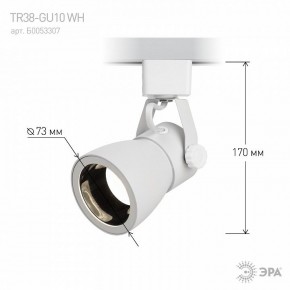 Светильник на штанге Эра  TR38-GU10 WH в Качканаре - kachkanar.ok-mebel.com | фото 6