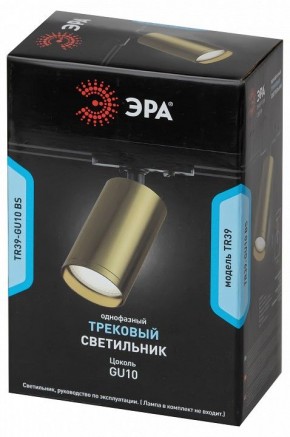 Светильник на штанге Эра  TR39-GU10 BS в Качканаре - kachkanar.ok-mebel.com | фото 4
