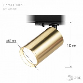 Светильник на штанге Эра  TR39-GU10 BS в Качканаре - kachkanar.ok-mebel.com | фото 6
