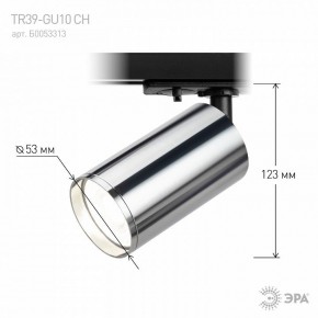 Светильник на штанге Эра  TR39-GU10 СН в Качканаре - kachkanar.ok-mebel.com | фото 7
