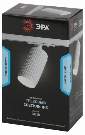 Светильник на штанге Эра  TR40-GU10 WH в Качканаре - kachkanar.ok-mebel.com | фото 7