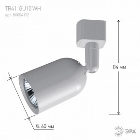 Светильник на штанге Эра  TR41-GU10 WH в Качканаре - kachkanar.ok-mebel.com | фото 9