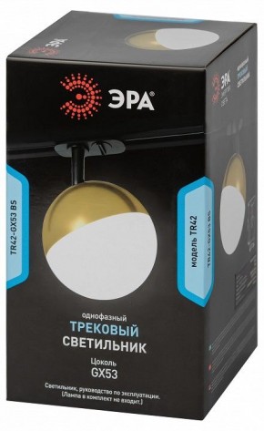 Светильник на штанге Эра  TR42-GX53 BS в Качканаре - kachkanar.ok-mebel.com | фото 6