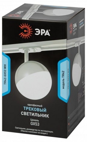 Светильник на штанге Эра  TR42-GX53 WH в Качканаре - kachkanar.ok-mebel.com | фото 6