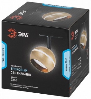 Светильник на штанге Эра  TR47 - GX53 MG в Качканаре - kachkanar.ok-mebel.com | фото 5