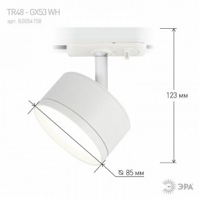 Светильник на штанге Эра  TR48 - GX53 WH в Качканаре - kachkanar.ok-mebel.com | фото 4