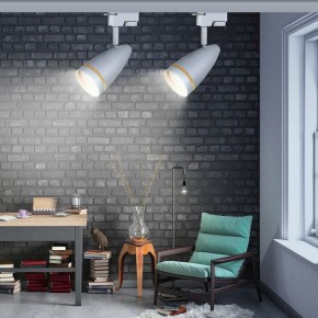 Светильник на штанге Эра  TR49 - GU10 WH в Качканаре - kachkanar.ok-mebel.com | фото 2
