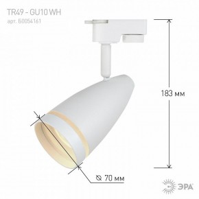 Светильник на штанге Эра  TR49 - GU10 WH в Качканаре - kachkanar.ok-mebel.com | фото 4