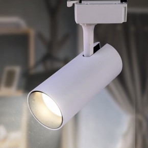 Светильник на штанге Эра  TR5-10 COB WH в Качканаре - kachkanar.ok-mebel.com | фото 3