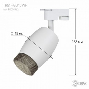 Светильник на штанге Эра  TR51 - GU10 WH в Качканаре - kachkanar.ok-mebel.com | фото 4