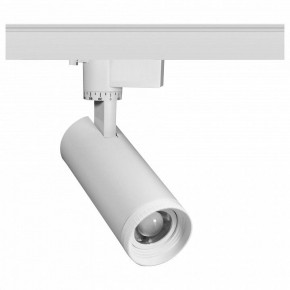 Светильник на штанге Эра  TR59 - 2030 WH в Качканаре - kachkanar.ok-mebel.com | фото