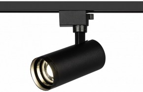 Светильник на штанге Эра  TR59 - 2040 BK в Качканаре - kachkanar.ok-mebel.com | фото 5