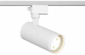 Светильник на штанге Эра  TR59 - 2040 WH в Качканаре - kachkanar.ok-mebel.com | фото