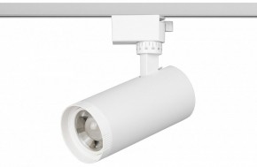 Светильник на штанге Эра  TR59 - 2040 WH в Качканаре - kachkanar.ok-mebel.com | фото 2