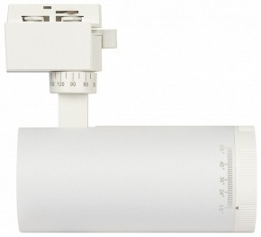 Светильник на штанге Эра  TR59 - 2040 WH в Качканаре - kachkanar.ok-mebel.com | фото 4