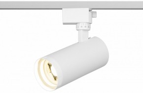 Светильник на штанге Эра  TR59 - 2040 WH в Качканаре - kachkanar.ok-mebel.com | фото 5